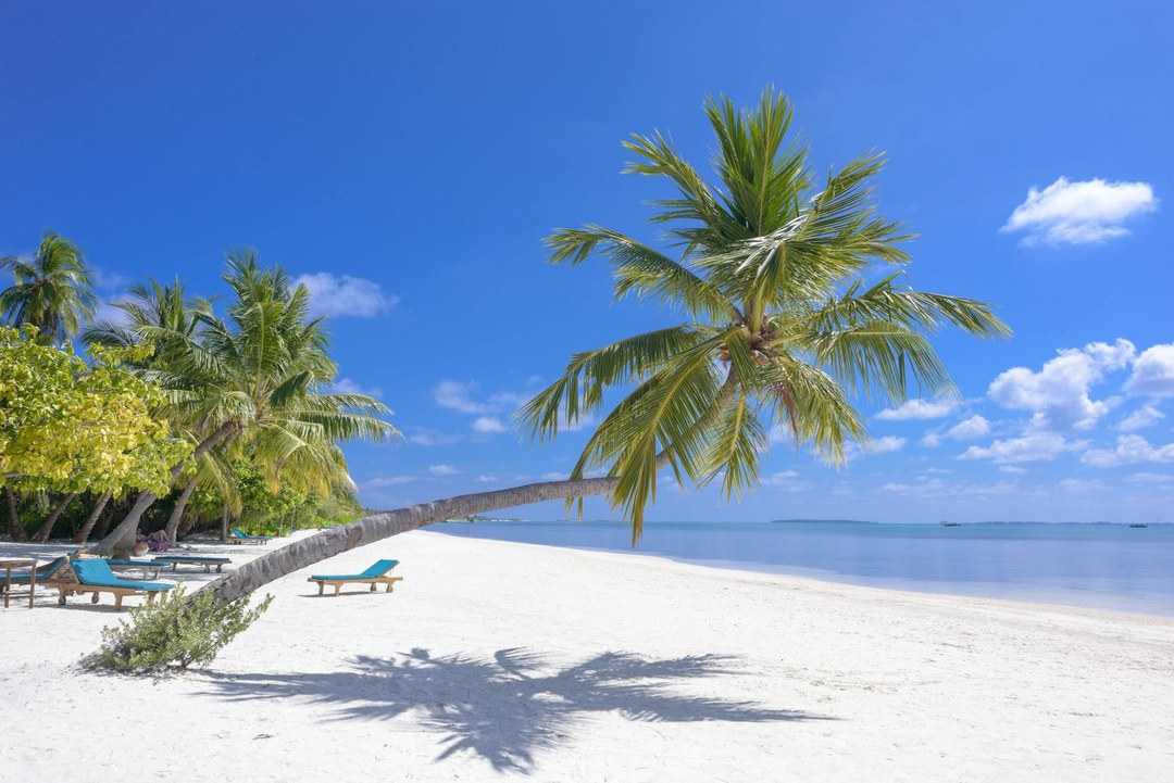 Kwale County（夸莱县）-非行家旅行-Africa Wild Wander