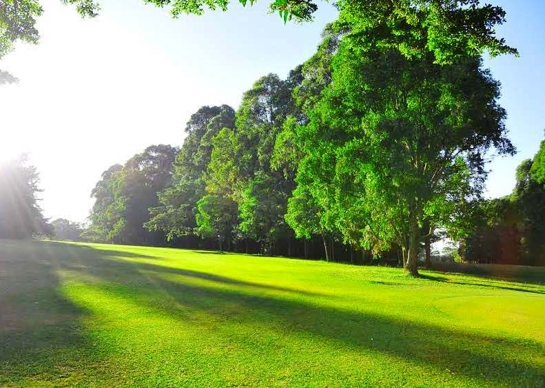 Kakamega Sports Club（卡卡梅加体育俱乐部）-非行家旅行-Africa Wild Wander