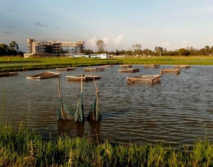 Sagana Fisheries（萨加纳渔业中心）