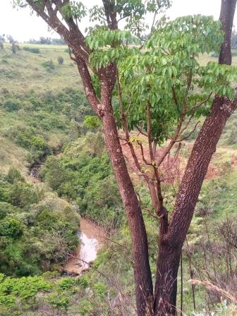 Plovers Eco Camp(住宿休闲 / 艺术度假)-非行家旅行-Africa Wild Wander