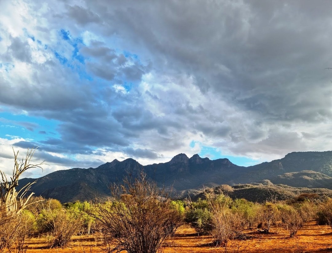 Namunyak Conservancy（纳穆尼亚克社区保护地）-非行家旅行-Africa Wild Wander