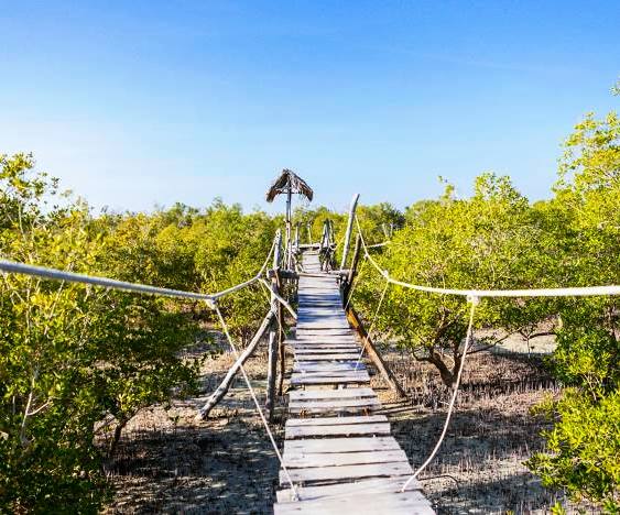 Mida Creek（水系 / 湖泊 / 海岸）-非行家旅行-Africa Wild Wander
