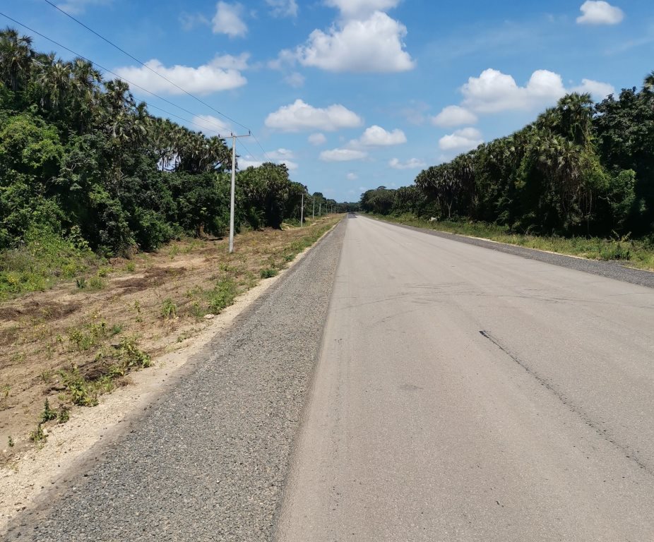 Tana Delta Colonial Forts(历史遗产 / 博物馆)-非行家旅行-Africa Wild Wander