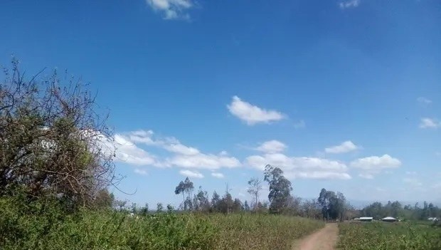 Budalang'i Forest（自然景观 / 徒步）