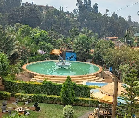 Cool Stream Garden(县域目的地)-非行家旅行-Africa Wild Wander