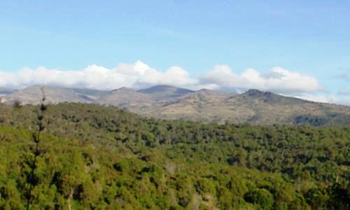 Forests in Kenya（水系 / 湖泊 / 海岸）-非行家旅行-Africa Wild Wander