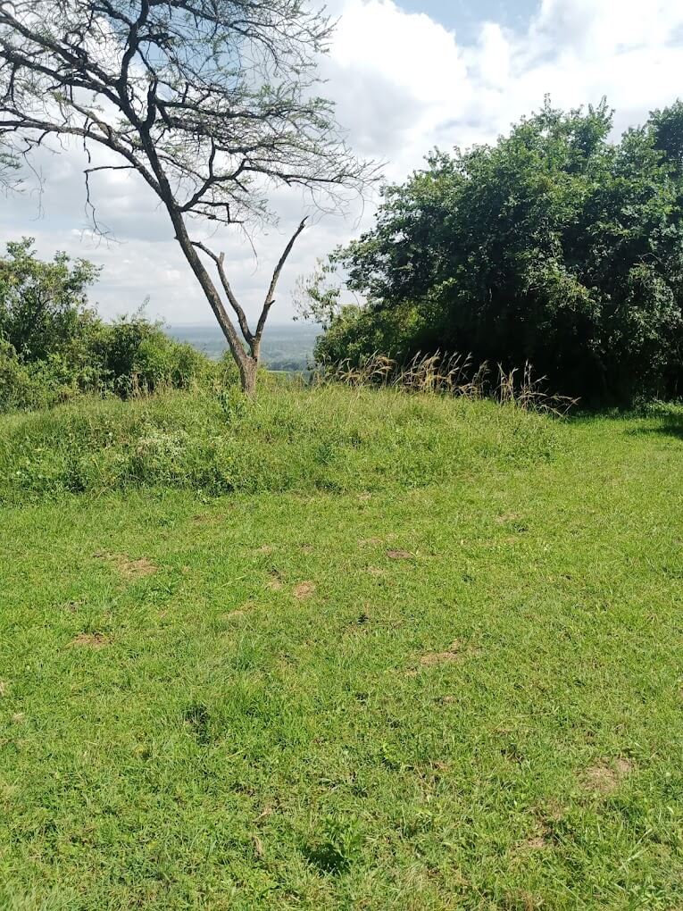 Kibugat Hill（自然景观 / 徒步）-非行家旅行-Africa Wild Wander
