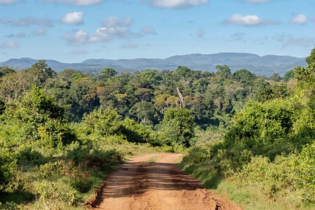 Aberdare Range（阿伯德尔山脉）-非行家旅行-Africa Wild Wander