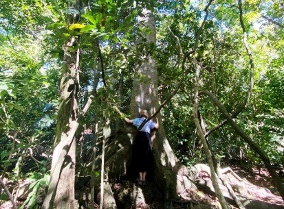 Kaya Kinondo Sacred Forest（卡亚基农多圣林）-非行家旅行-Africa Wild Wander