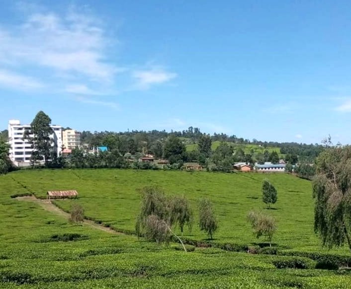 Nandi Hills（南迪丘陵）-非行家旅行-Africa Wild Wander