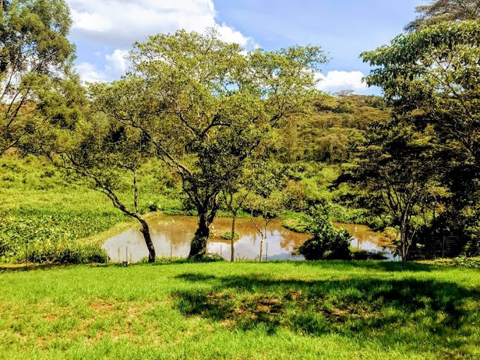 Nyamira County（尼亚米拉县）-非行家旅行-Africa Wild Wander