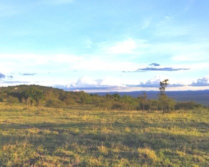 Athi Kapiti Conservancy（Athi-Kapiti / Lukenya 生态）-非行家旅行-Africa Wild Wander