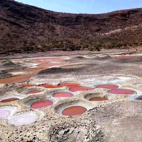 Magado Crater（水系 / 湖泊 / 海岸）-非行家旅行-Africa Wild Wander