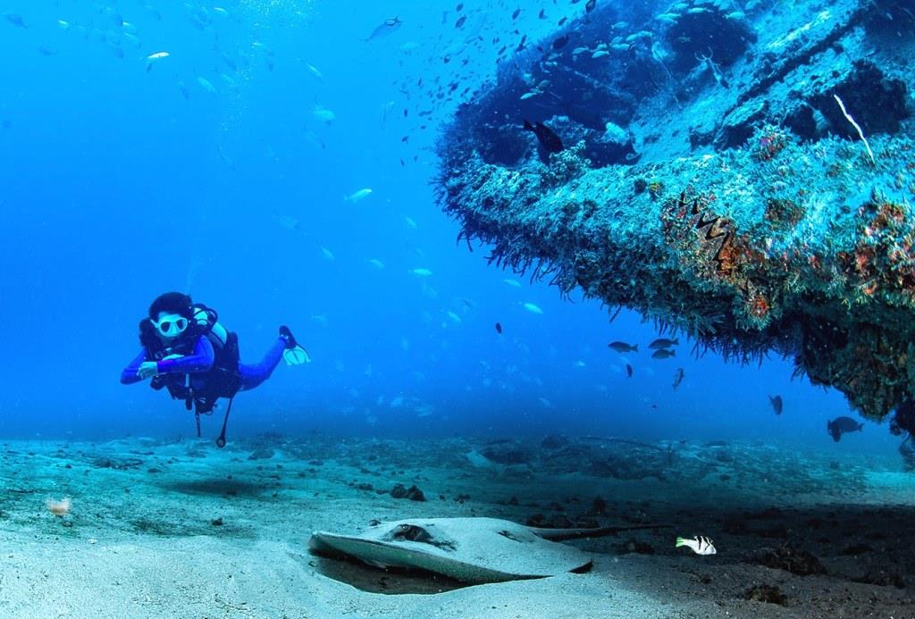Funguo Wreck（县域目的地）-非行家旅行-Africa Wild Wander