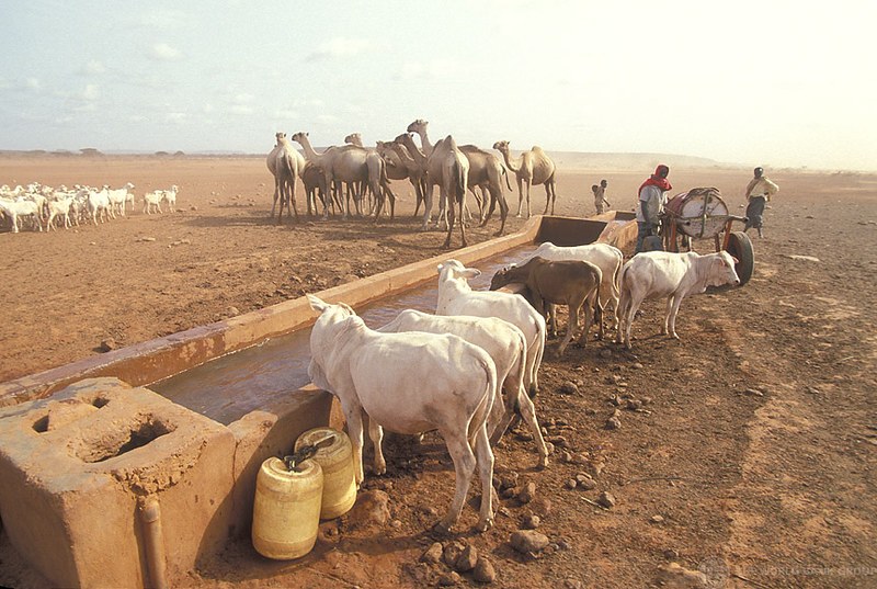 Orahey Wells（水系 / 湖泊 / 海岸）-非行家旅行-Africa Wild Wander