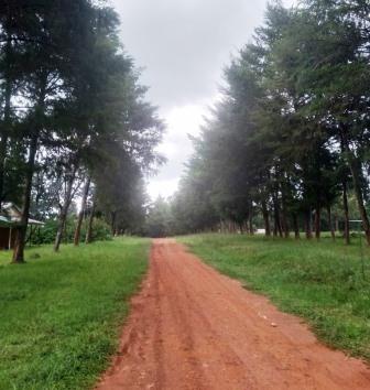 MMUST Botanical Garden（马辛德穆利罗大学植物园）-非行家旅行-Africa Wild Wander