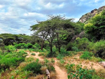 Ngurunit Rock Pools（水源 / 传统生活景观）-非行家旅行-Africa Wild Wander
