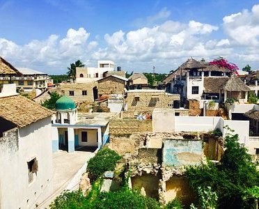 Kipungani Ruins（斯瓦希里遗产 / 博物馆）-非行家旅行-Africa Wild Wander