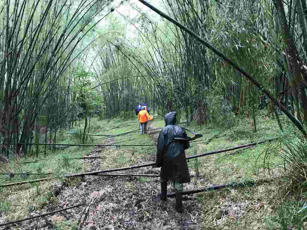 Nyeri County（县域概览）-非行家旅行-Africa Wild Wander