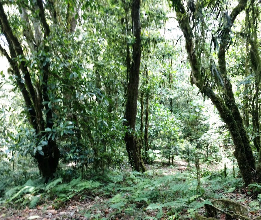 Nyambene Range（自然景观 / 徒步）-非行家旅行-Africa Wild Wander