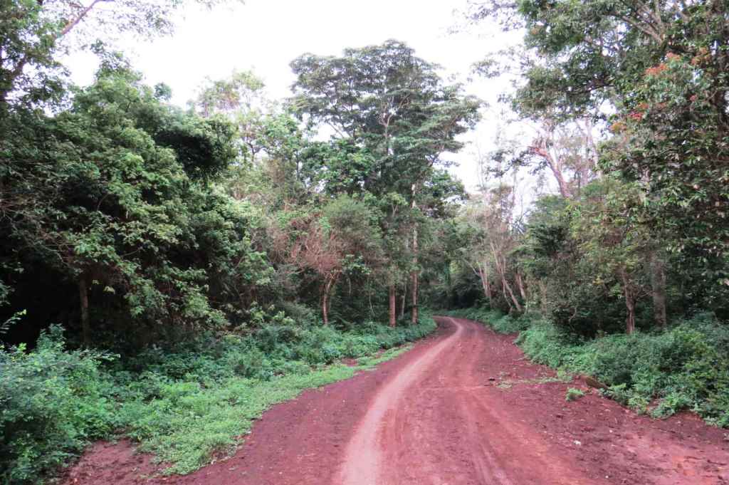 Forests in Kenya（水系 / 湖泊 / 海岸）-非行家旅行-Africa Wild Wander