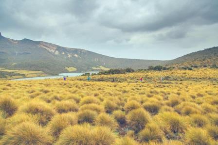 Lake Rutundu（鲁通杜湖）-非行家旅行-Africa Wild Wander