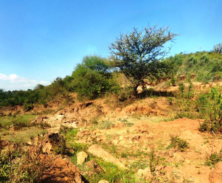 Murinduko Hill Forest(穆林杜科山森林)-非行家旅行-Africa Wild Wander