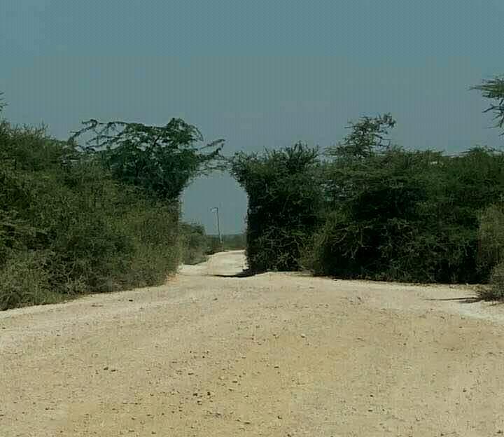 Habaswein（县域目的地 / 专题资料）-非行家旅行-Africa Wild Wander