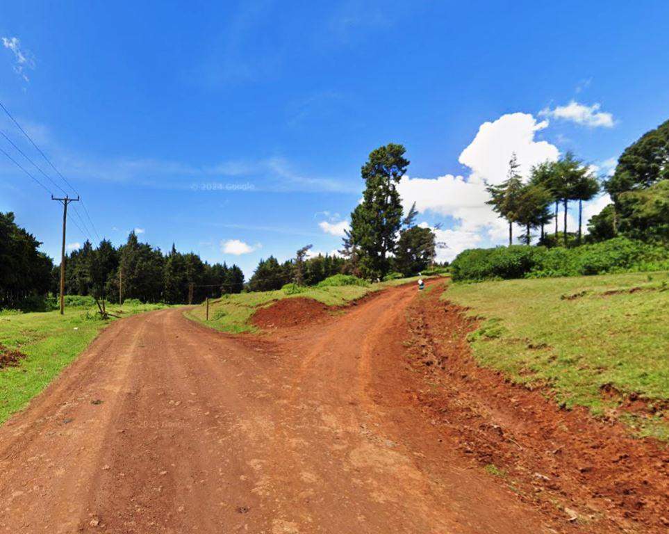 Mucheene Forest（森林 / 水源地）-非行家旅行-Africa Wild Wander