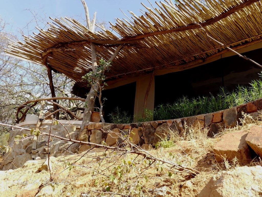 Namunyak Conservancy（纳穆尼亚克社区保护地）-非行家旅行-Africa Wild Wander