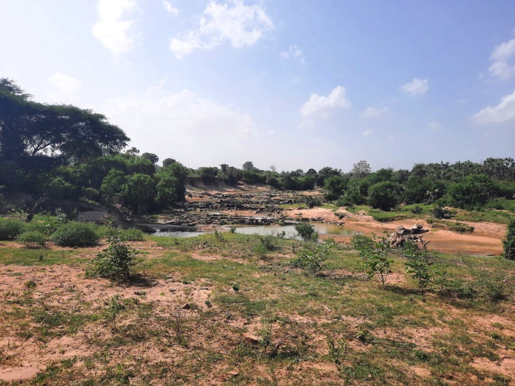 Maji Mojo Springs（社区生态 / 自然教育）-非行家旅行-Africa Wild Wander