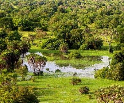 Lake Kiboko（水系 / 红树林）-非行家旅行-Africa Wild Wander