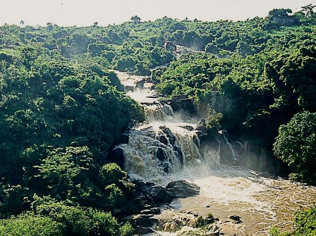 River Yala（亚拉河）-非行家旅行-Africa Wild Wander