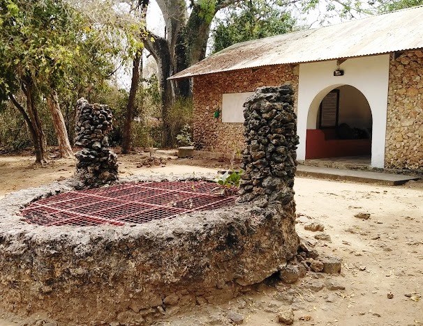 Mnarani Ruins（历史遗产 / 博物馆）-非行家旅行-Africa Wild Wander