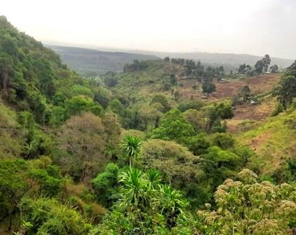 Ngabunat Cave（县域目的地）-非行家旅行-Africa Wild Wander