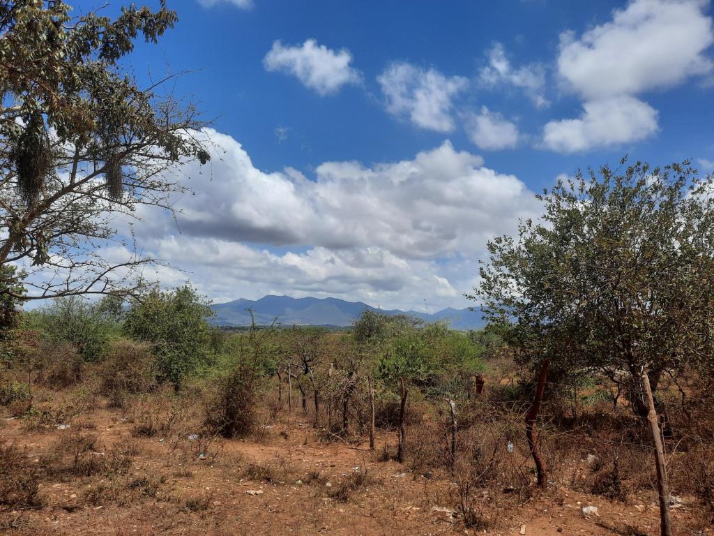 Mumoni Hill（水系 / 湖泊 / 海岸）-非行家旅行-Africa Wild Wander