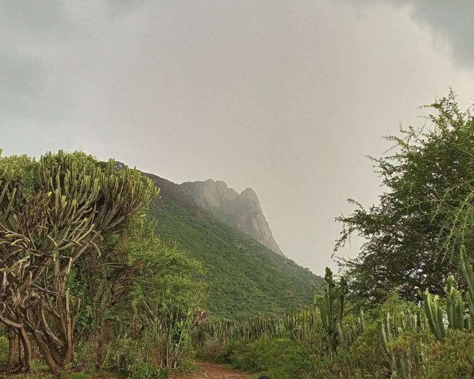 Murpus Hill（自然景观 / 徒步）-非行家旅行-Africa Wild Wander
