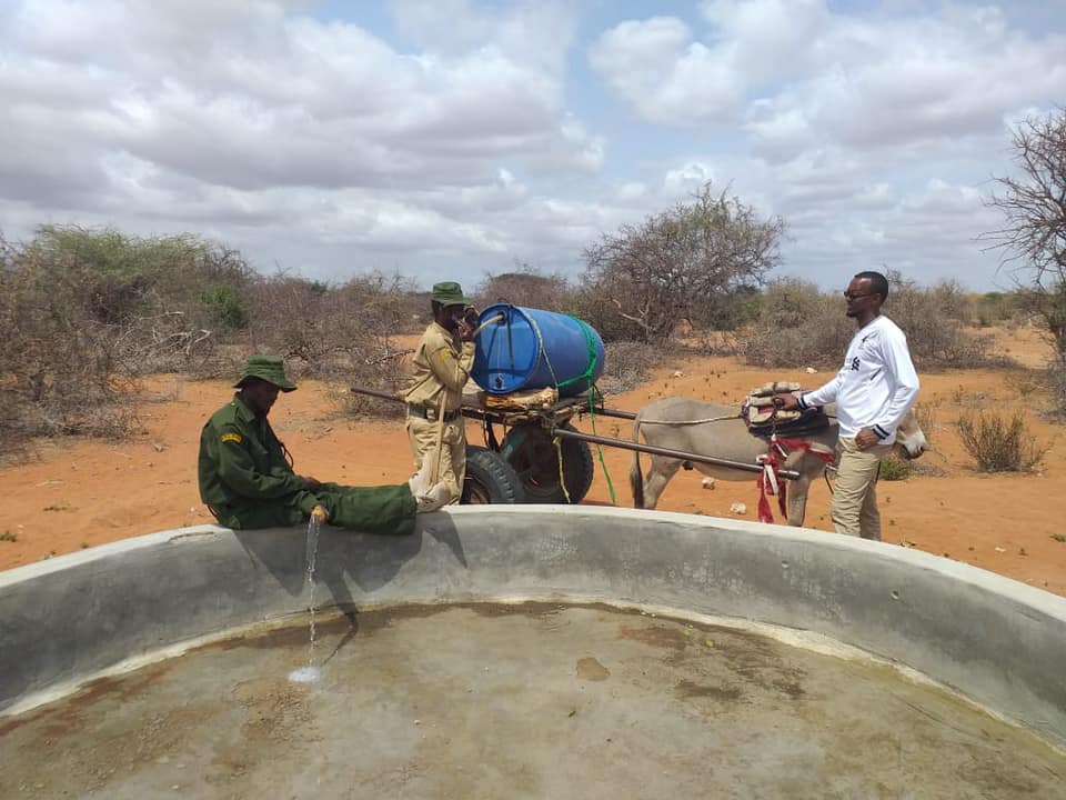 Sabuli Conservancy（国家公园 / 保护区 / Safari）-非行家旅行-Africa Wild Wander