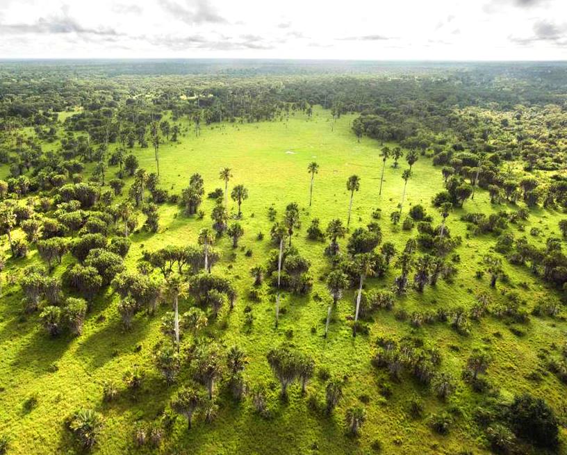 Amu Ranch(保护区 / 海岸生态)-非行家旅行-Africa Wild Wander