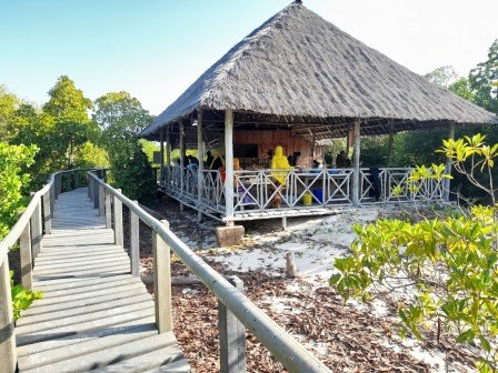 Gazi Women Mangrove Boardwalk（加齐女性红树林栈道）-非行家旅行-Africa Wild Wander