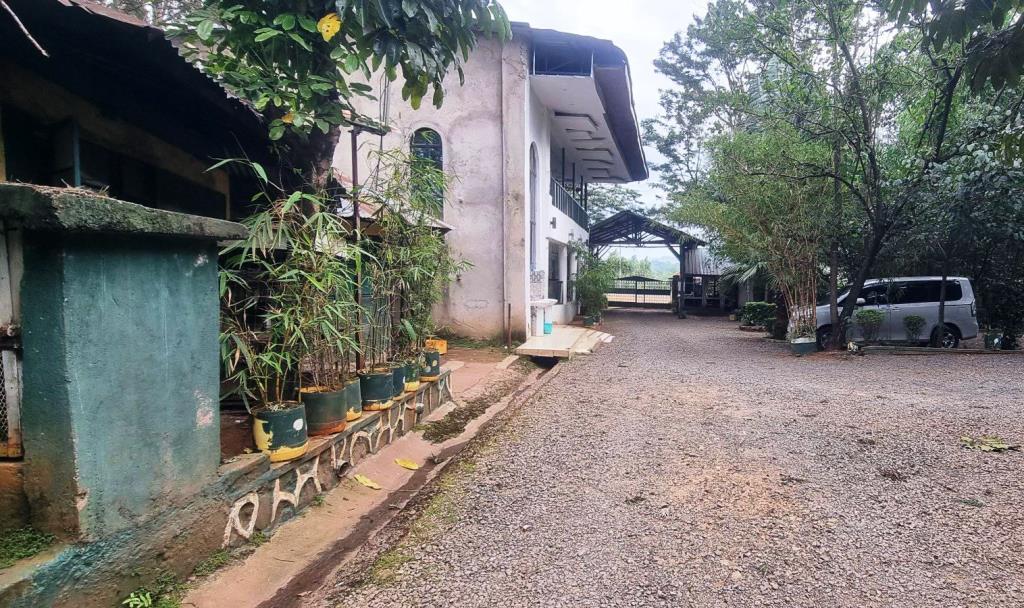 Roddy’s Green Lounge(罗迪绿色休闲营地)-非行家旅行-Africa Wild Wander