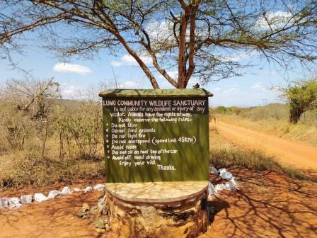 LUMO Wildlife Conservancy（LUMO 野生动物保护地）-非行家旅行-Africa Wild Wander