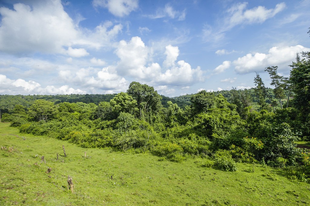 Baringo County（巴林戈县）-非行家旅行-Africa Wild Wander