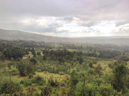 Kenungu Falls（瀑布 / 森林水系）-非行家旅行-Africa Wild Wander