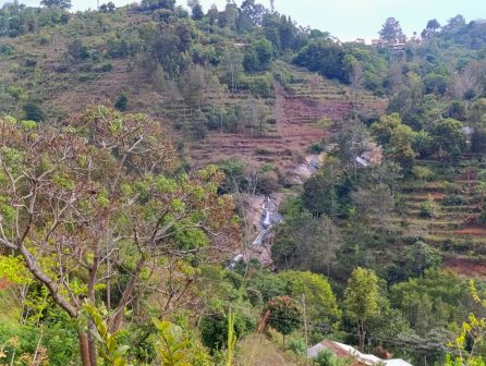 Kilangarenyi Falls（Taita Hills / 高地文化）-非行家旅行-Africa Wild Wander