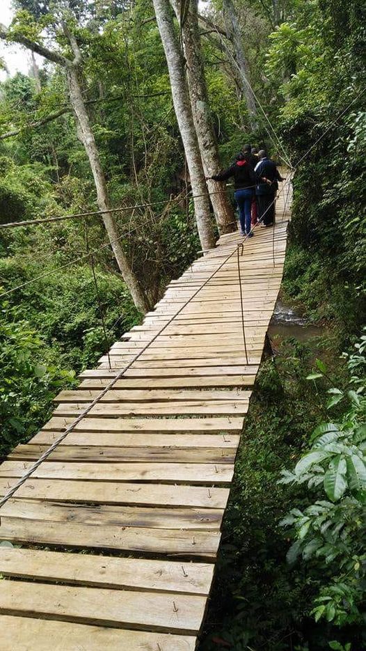 Njukiri Forest（自然景观 / 徒步）-非行家旅行-Africa Wild Wander