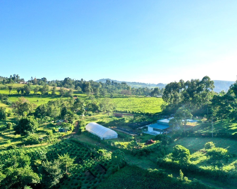 Chepsangor Coffee（产业 / 地方资源）-非行家旅行-Africa Wild Wander