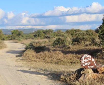 Swara Plains Conservancy（斯瓦拉平原保护地）-非行家旅行-Africa Wild Wander