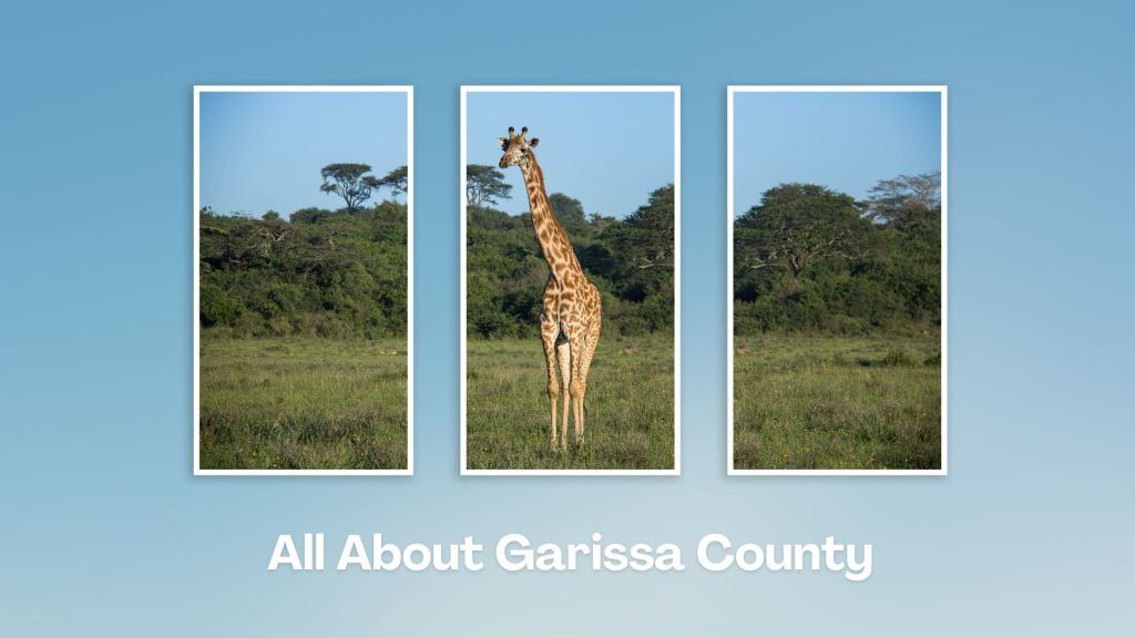 Dadaab Camp（住宿 / 营地）-非行家旅行-Africa Wild Wander