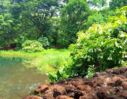 Njoro Springs（湖泊 / 泉水 / 湿地）-非行家旅行-Africa Wild Wander